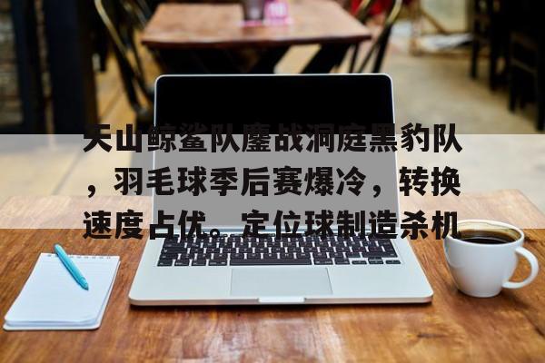 天山鲸鲨队鏖战洞庭黑豹队，羽毛球季后赛爆冷，转换速度占优。定位球制造杀机的简单介绍-九游官网入口